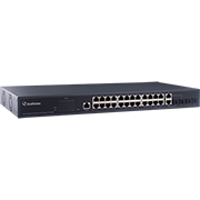 24-Port Gigabit Web Management PoE Switch