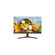 Hikvision SP monitorius 24\" DS-D5024FN10