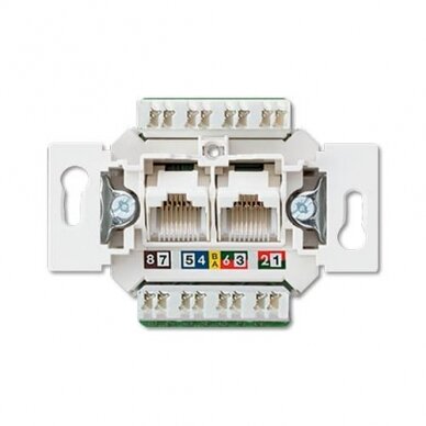 Kompiuterinis lizdas JUNG EPUAE8-8UPOK6US (2xRJ45 CAT 6)