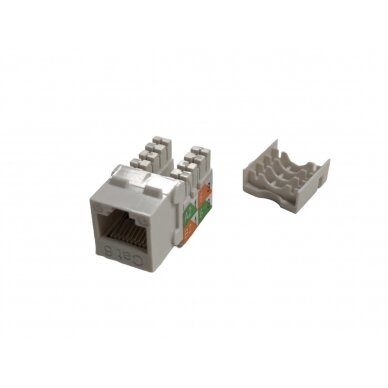 Lizdas RJ45 6A cat. UTP SWPLUG-02-CAT6A